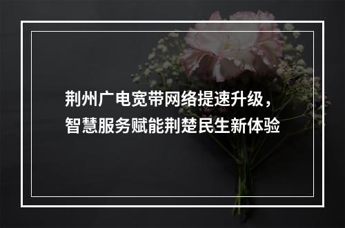 荆州广电宽带网络提速升级，智慧服务赋能荆楚民生新体验