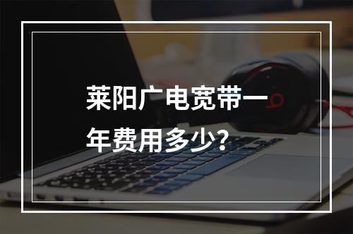 莱阳广电宽带一年费用多少？