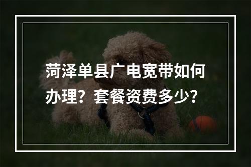 菏泽单县广电宽带如何办理？套餐资费多少？
