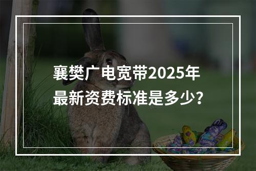 襄樊广电宽带2025年最新资费标准是多少？