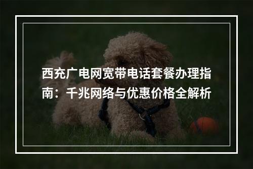 西充广电网宽带电话套餐办理指南：千兆网络与优惠价格全解析