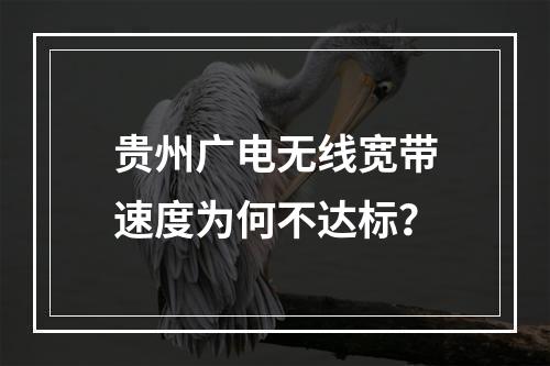 贵州广电无线宽带速度为何不达标？