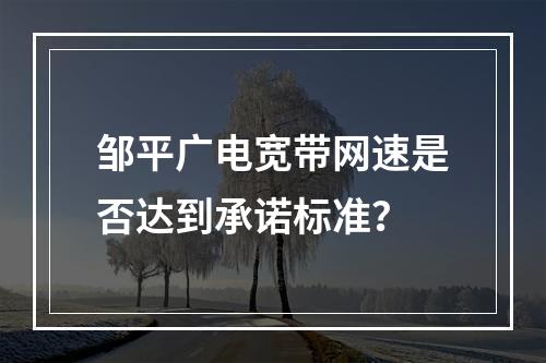 邹平广电宽带网速是否达到承诺标准？