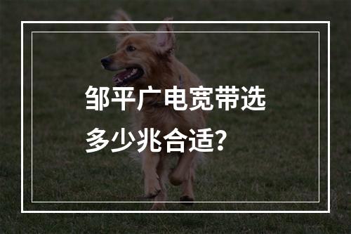 邹平广电宽带选多少兆合适？