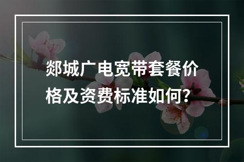 郯城广电宽带套餐价格及资费标准如何？