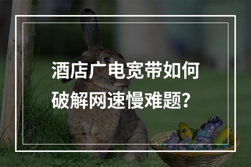 酒店广电宽带如何破解网速慢难题？