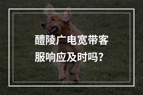 醴陵广电宽带客服响应及时吗？