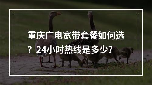 重庆广电宽带套餐如何选？24小时热线是多少？