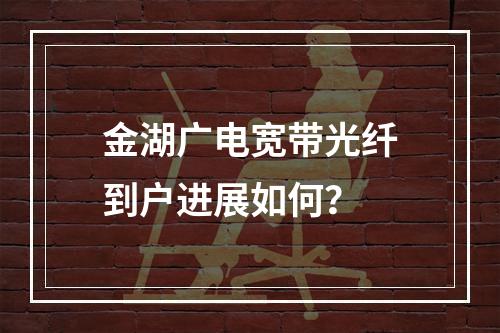 金湖广电宽带光纤到户进展如何？