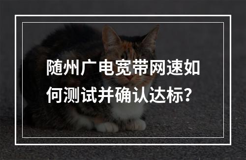 随州广电宽带网速如何测试并确认达标？