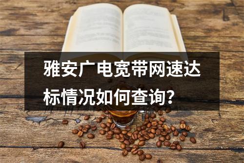 雅安广电宽带网速达标情况如何查询？
