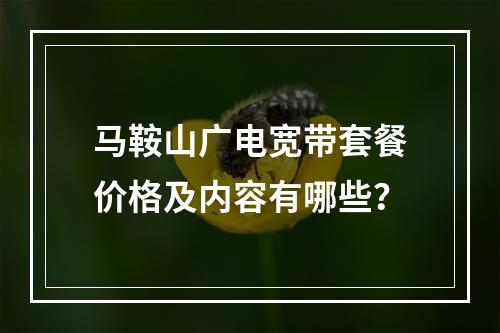 马鞍山广电宽带套餐价格及内容有哪些？