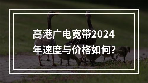 高港广电宽带2024年速度与价格如何？