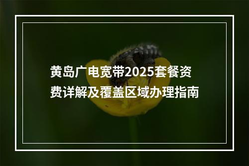 黄岛广电宽带2025套餐资费详解及覆盖区域办理指南