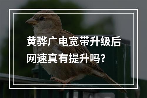 黄骅广电宽带升级后网速真有提升吗？