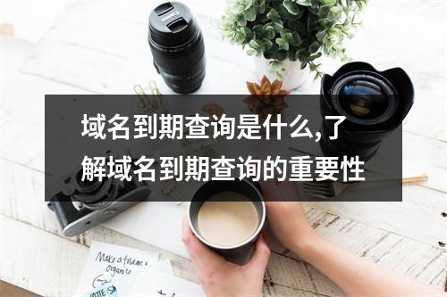 域名到期查询是什么,了解域名到期查询的重要性