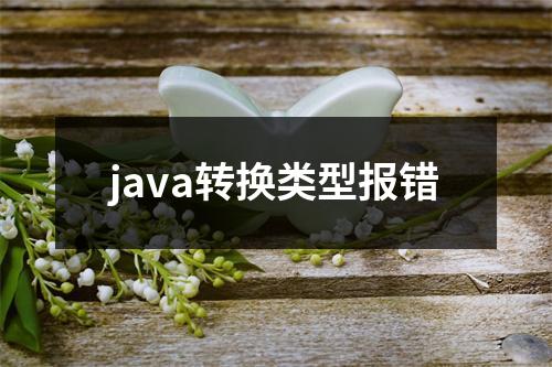java转换类型报错