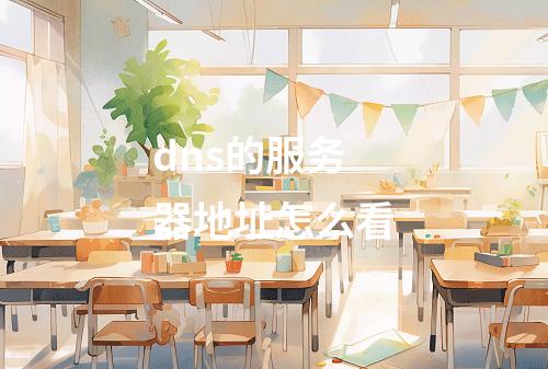 dns的服务器地址怎么看