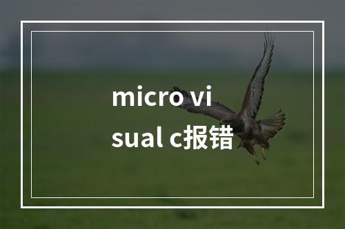 micro visual c报错