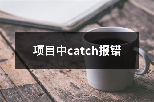 项目中catch报错