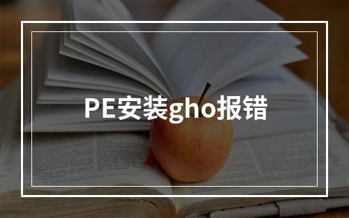 PE安装gho报错
