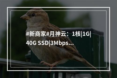 #新商家#月神云:1核|1G|40G SSD|3Mbps不限流量|香港CN2 GIA|月付25.2元(月神云怎么样)