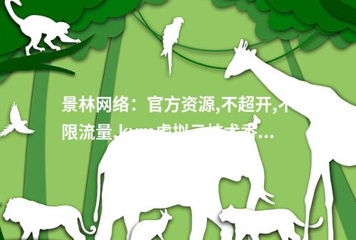 景林网络:官方资源,不超开,不限流量,kvm虚拟云技术香港CN2节点便宜20元一月,内有美国高防CN2回程防御200G(景林投资官网)
