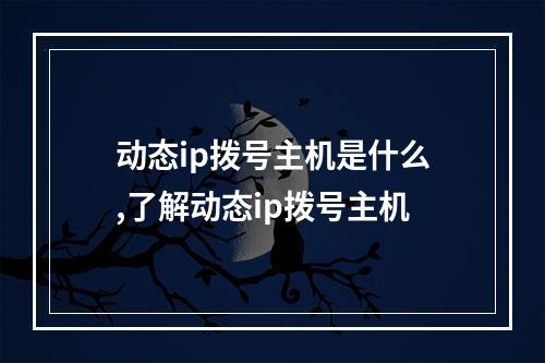 动态ip拨号主机是什么,了解动态ip拨号主机