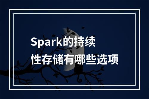 Spark的持续性存储有哪些选项