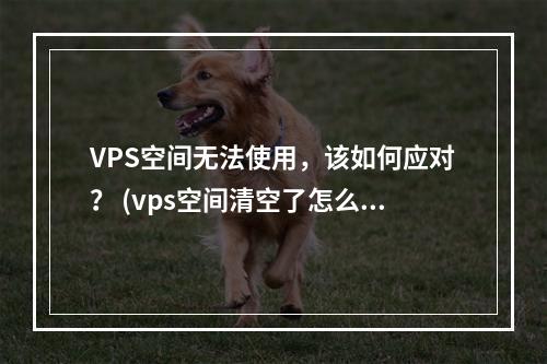 VPS空间无法使用,该如何应对? (vps空间清空了怎么办)
