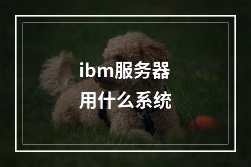 ibm服务器用什么系统