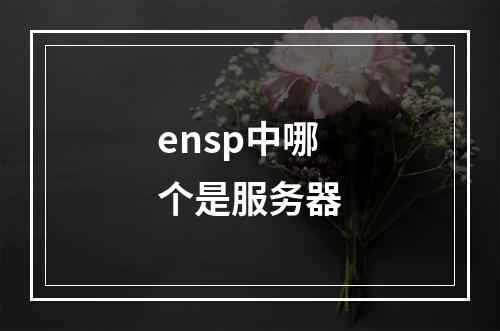 ensp中哪个是服务器