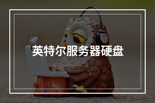 英特尔服务器硬盘