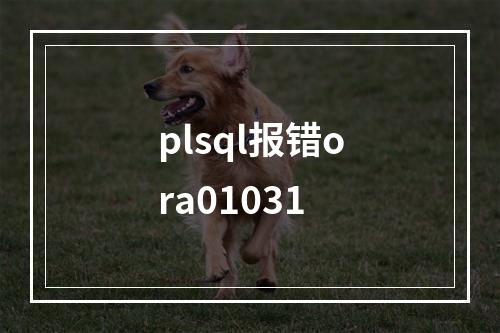 plsql报错ora01031