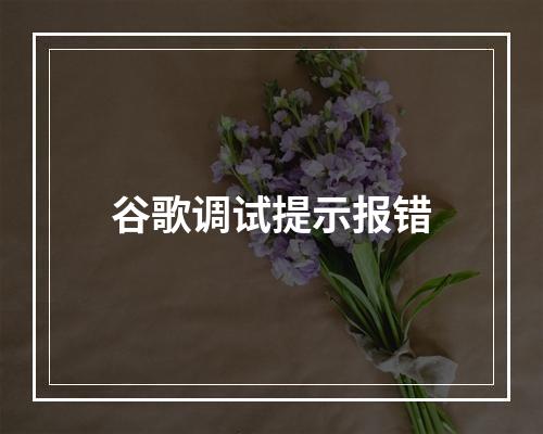 谷歌调试提示报错