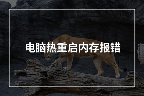 电脑热重启内存报错