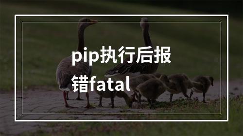 pip执行后报错fatal