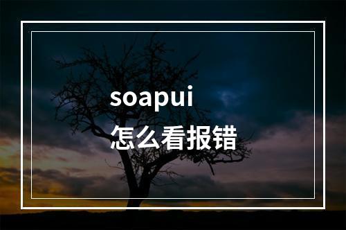 soapui怎么看报错