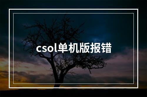 csol单机版报错