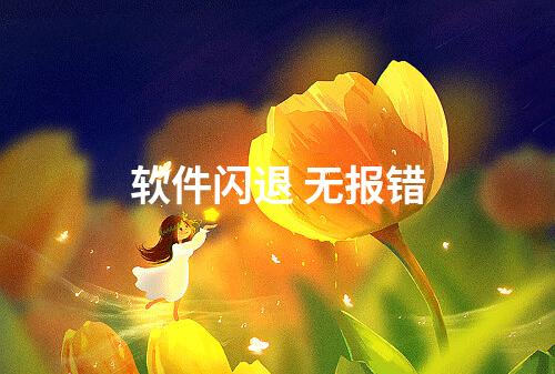 软件闪退 无报错
