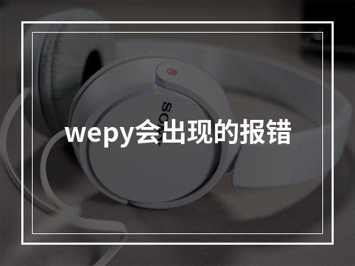 wepy会出现的报错