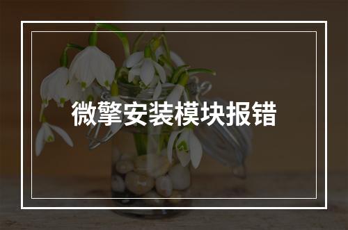 微擎安装模块报错