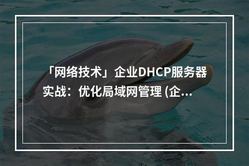 「网络技术」企业DHCP服务器实战:优化局域网管理 (企业dhcp服务器实战)