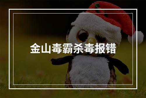 金山毒霸杀毒报错