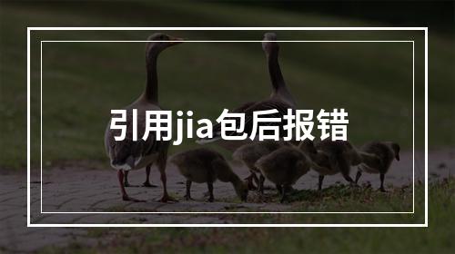 引用jia包后报错