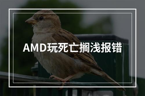 AMD玩死亡搁浅报错