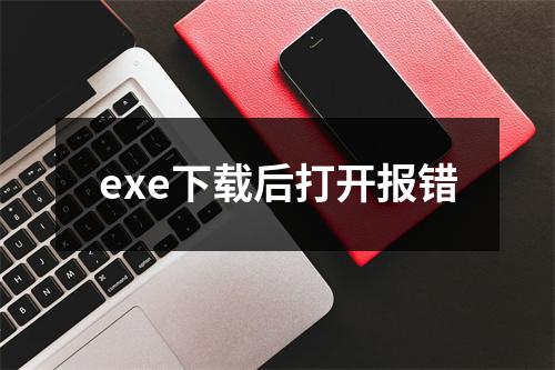 exe下载后打开报错