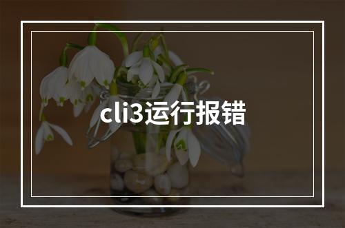 cli3运行报错