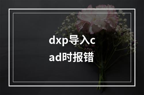 dxp导入cad时报错