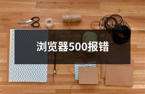 浏览器500报错
